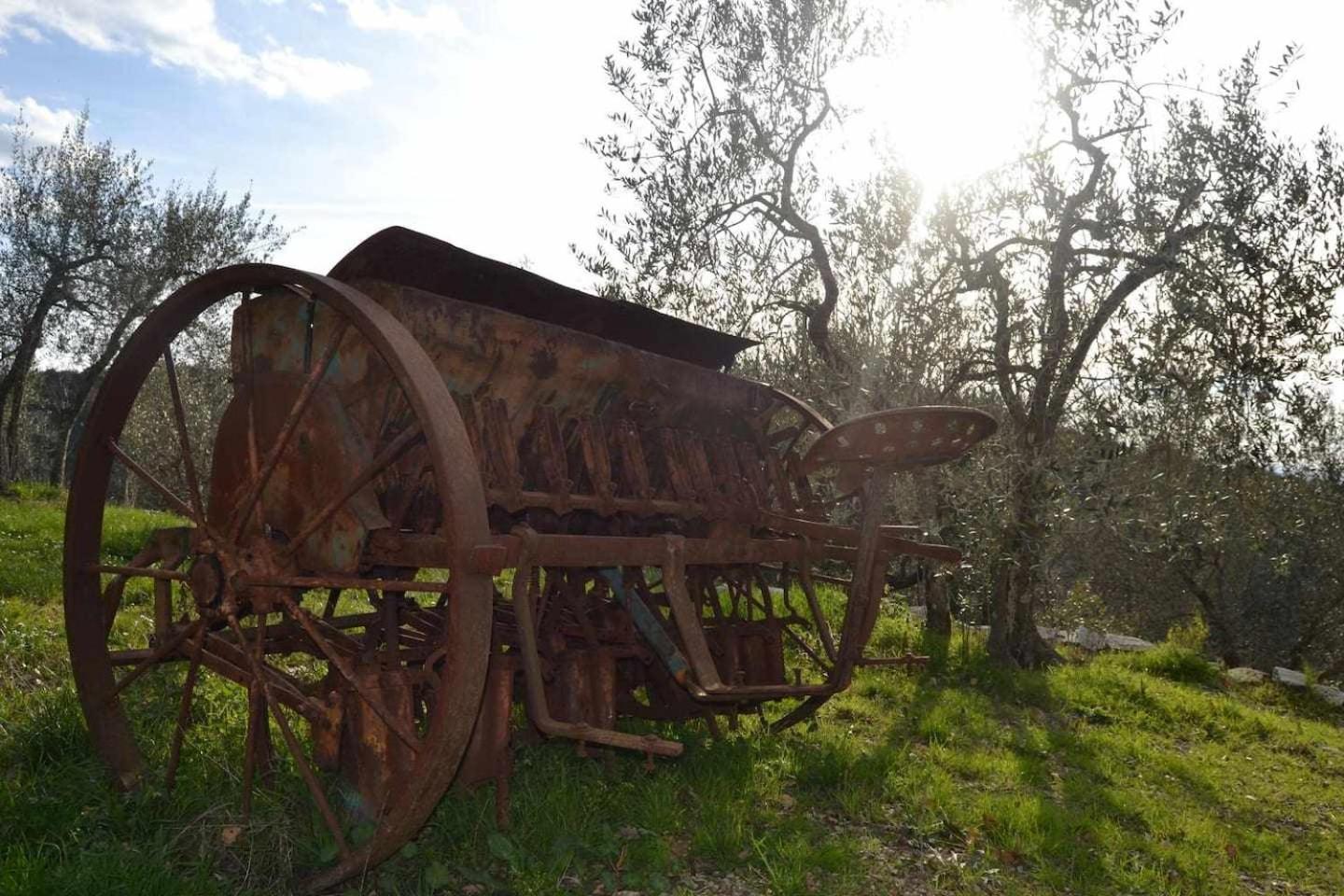 Agriturismo San Silvestro San Donato in Poggio Bagian luar foto